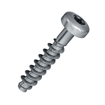 2.5x10mm PT screw